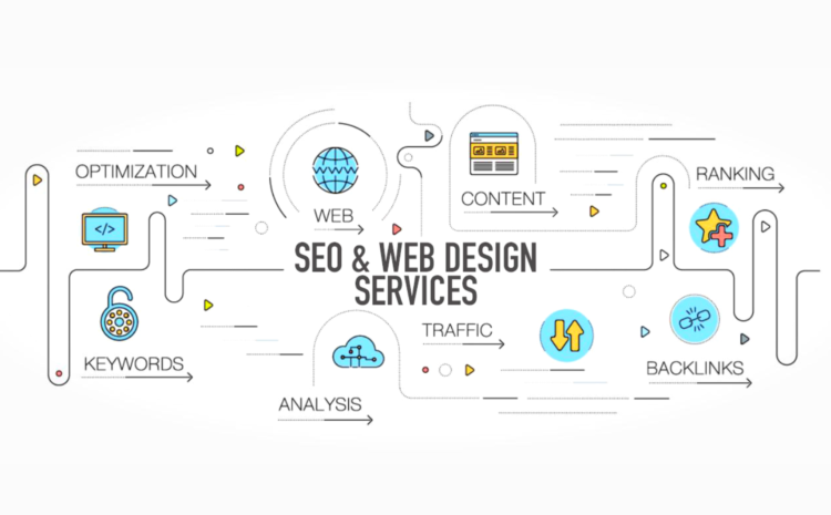 SEO & Web Designer